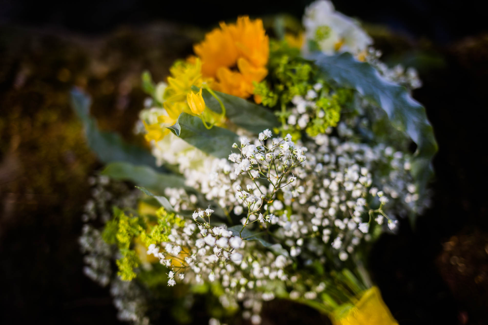 Export x3 5D4 7227 Hochzeit 2021 Jacqueline & Raphael